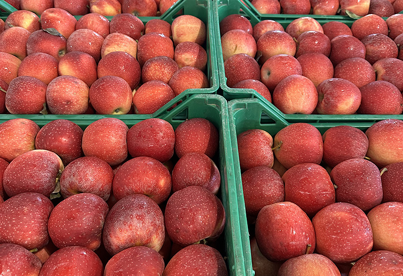 Mele Royal - Italia - 0,80/1,00 euro al chilogrammo